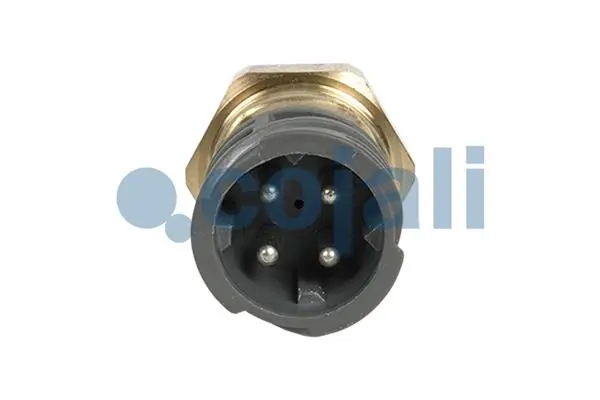 Sensor de aceite DAF 105 XF