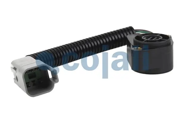2260209 Cojali