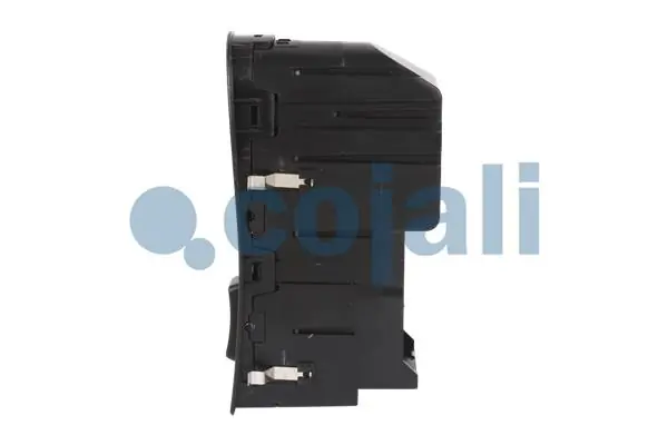 2260540 Cojali Botón de encendido, motor eléctrico, elevalunas, puerta delantera derecha