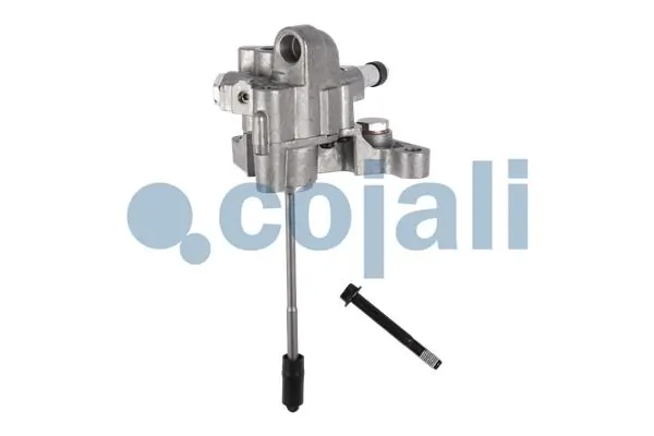 2880189 Cojali