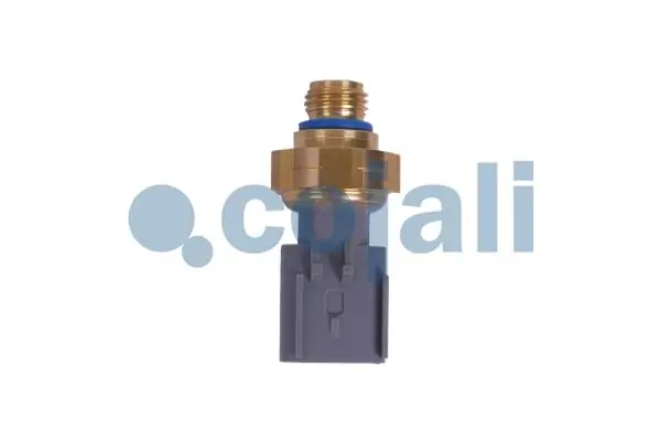 2262035 Cojali