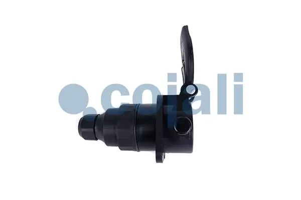 Toma eléctrica del remolque Ford CC4613B576AA