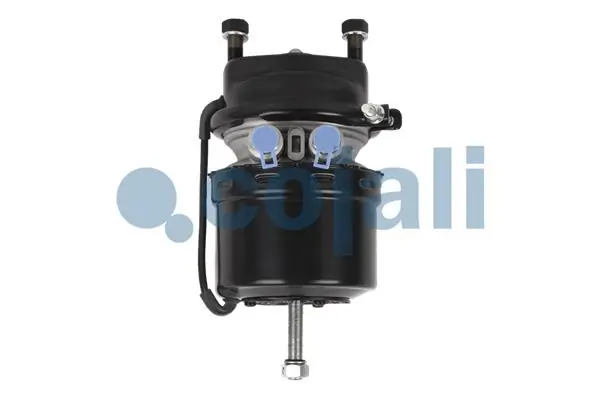 9254262000 Wabco Cámara de freno con acumulador de energía