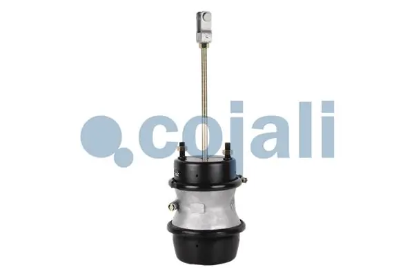 Cámara de freno con acumulador de energía Cojali 2251426 precio, desde 89,51 EUR