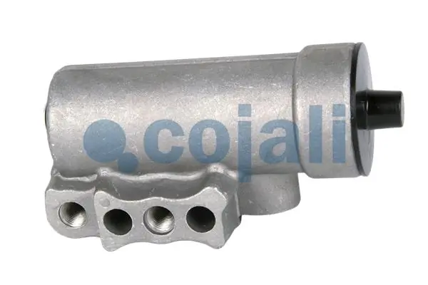 2628104 Cojali