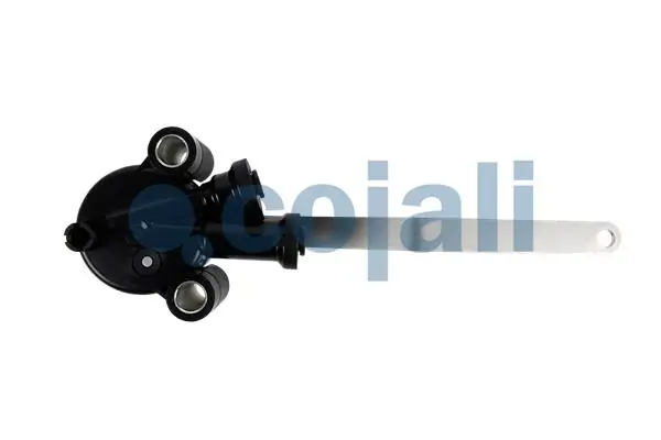 2314409 Cojali