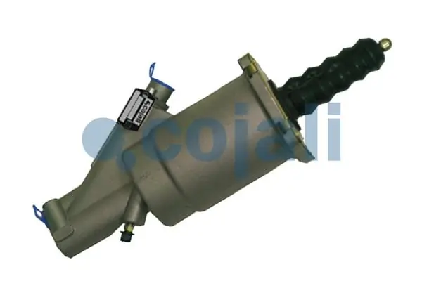 2550805 Cojali