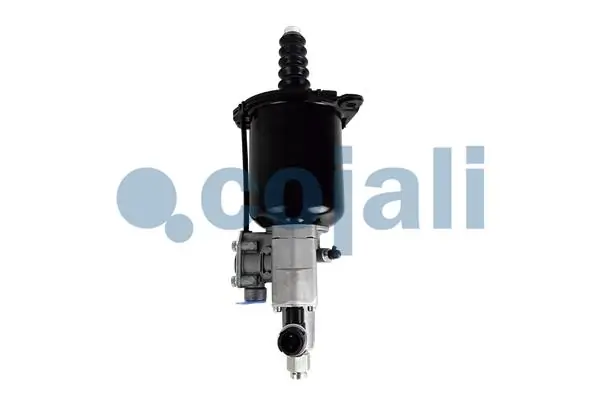 2250288 Cojali