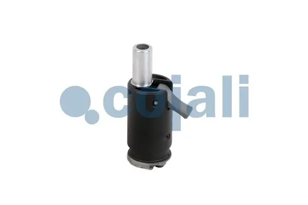 2880150 Cojali