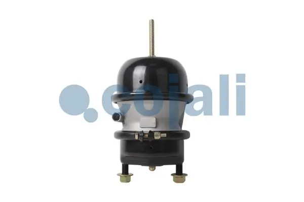 Cámara de freno con acumulador de energía Schmitz S054998 precio, desde 75,32 EUR