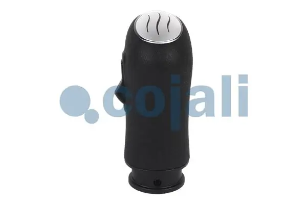 Comprar 5010639250 Renault (RVI) Pomo de palanca de cambios