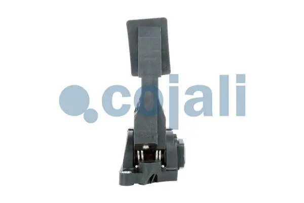 Comprar Pedal del acelerador Mercedes Benz Truck TRUCK ACTROS MP4 / MP5 