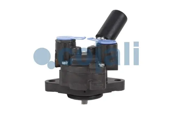 Bomba de combustible mecánica Cojali 2880209 precio, desde 184,73 EUR