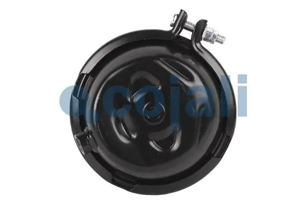 Cámara de freno con acumulador de energía Iveco 504191316