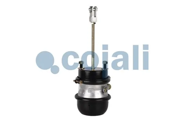 Comprar K031736N00 Knorr-bremse Cámara de freno con acumulador de energía
