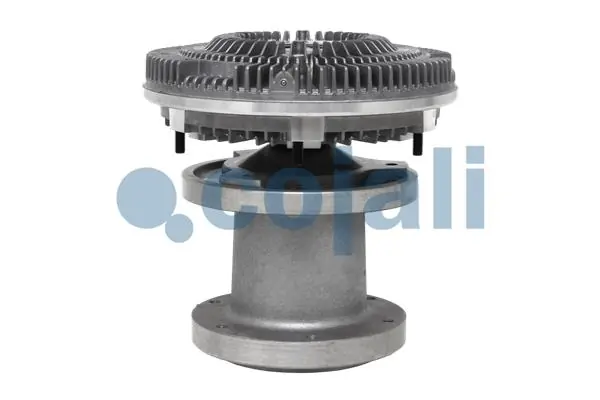 7033801 Cojali