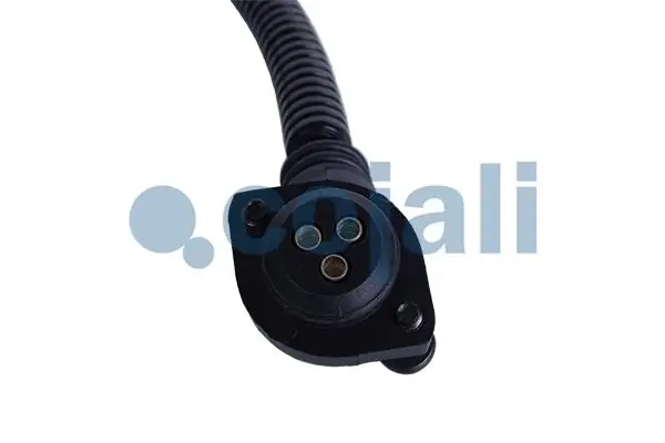 2261185 Cojali 
