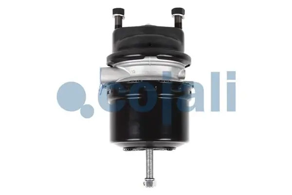 Comprar 81504106583 MAN Cámara de freno con acumulador de energía