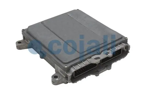 350236 Cojali