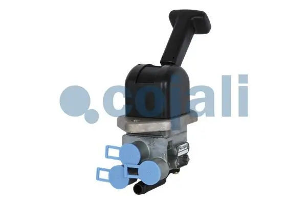 2224525 Cojali