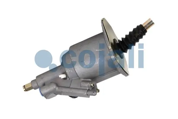 2550740 Cojali