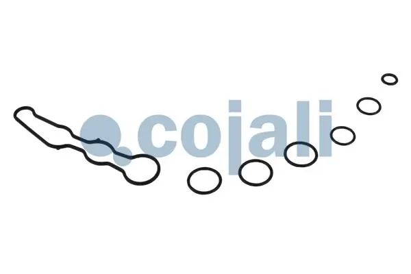 6012291 Cojali Juego de reparación del separador de humedad (camión)