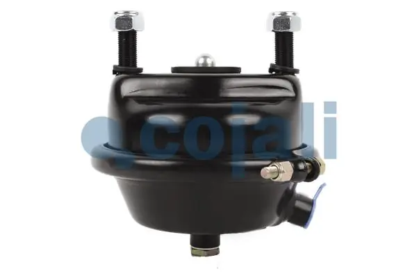 Cámara de freno con acumulador de energía Mercedes A0074208418 precio, desde 38,48 EUR