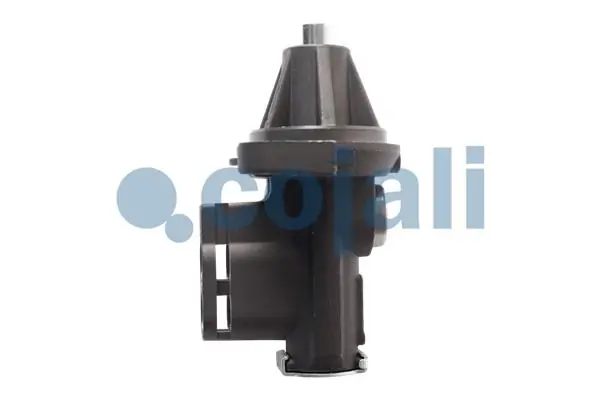 Válvula del repartidor Volvo 1672231