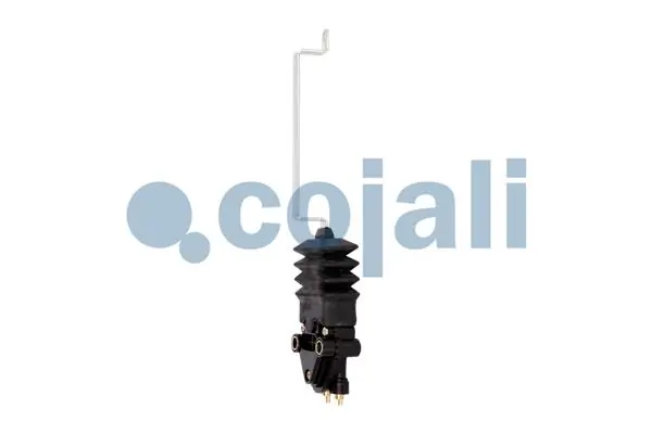  Renault (RVI) 7420746483 precio, desde 61,66 EUR