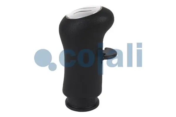 Pomo de palanca de cambios 5010639250 Renault (RVI)
