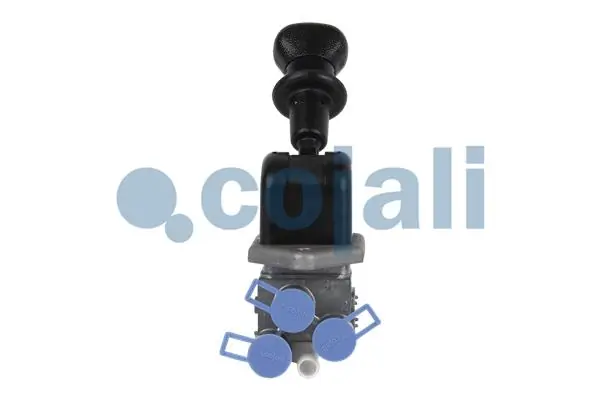 2324400 Cojali
