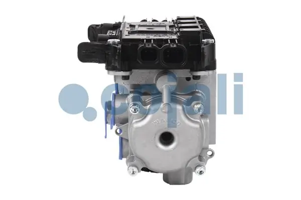 Comprar 81521066072 MAN 