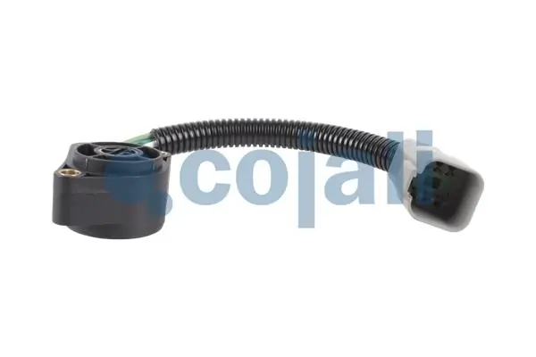 2260490 Cojali