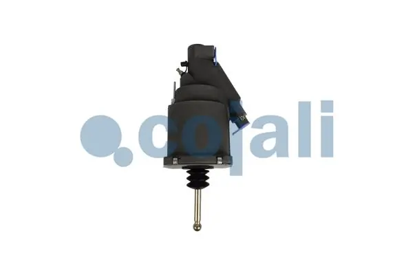 2550203 Cojali