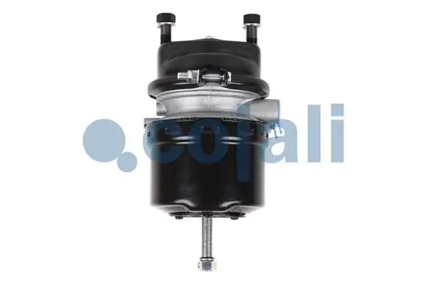 Cámara de freno con acumulador de energía MAN 81504106583