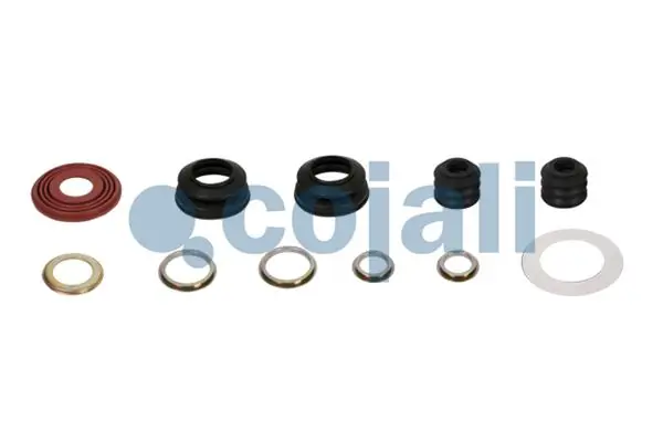 6089001 Cojali