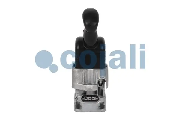 2324208 Cojali