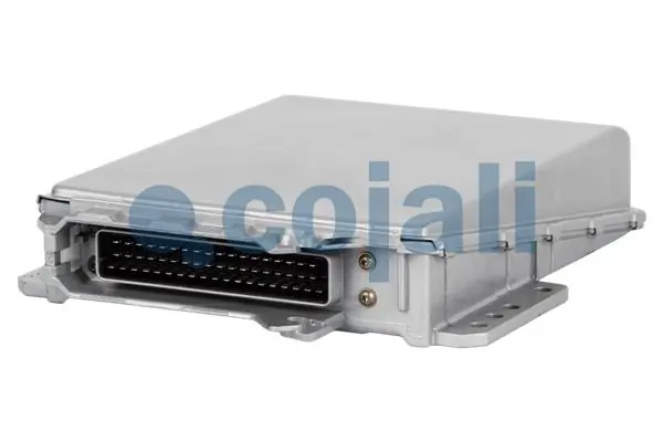 350113 Cojali