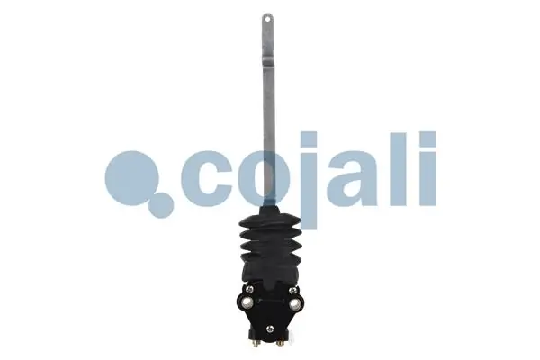2214518 Cojali