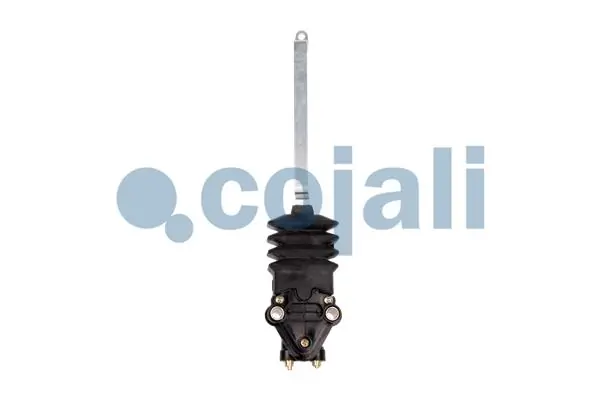 2214519 Cojali