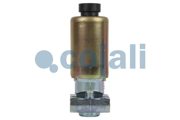Solenoide de la caja de transferencia 8283905000 Evobus/Setra