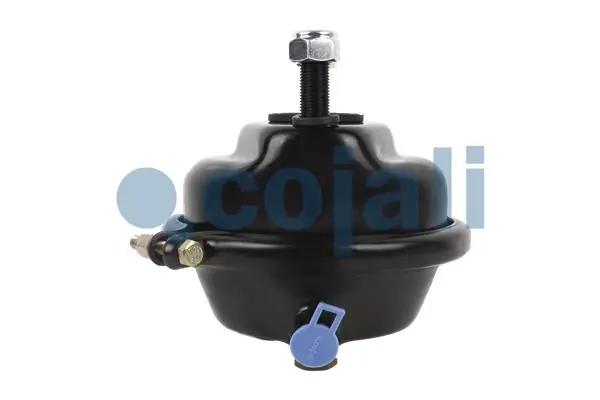 Cámara de freno con acumulador de energía A0074208418 Mercedes
