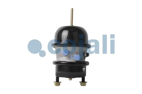 2851100 Cojali
