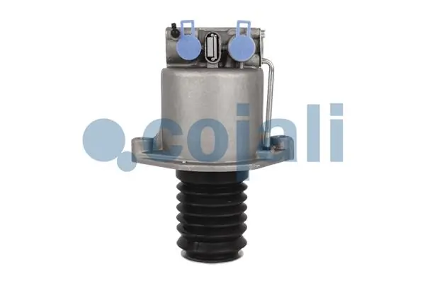 2350109 Cojali