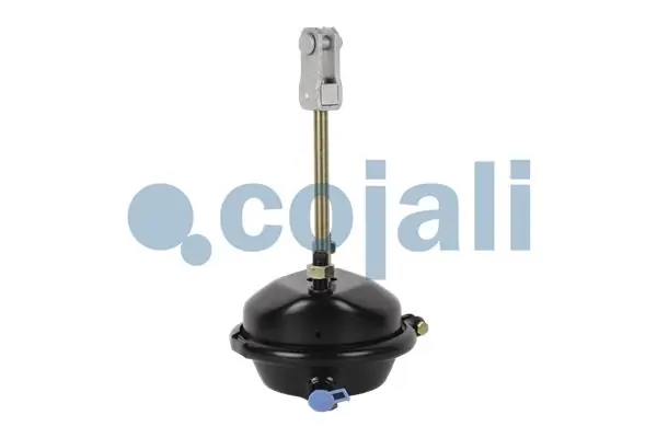 Comprar 0004209124 Mercedes Cámara de freno con acumulador de energía