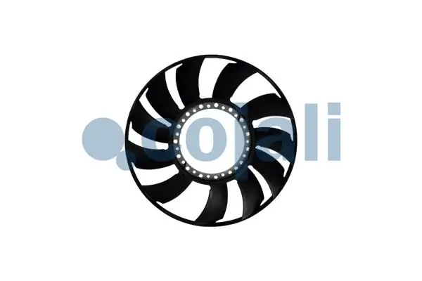 8110610 Cojali
