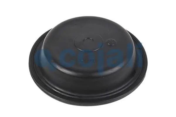6001119 Cojali