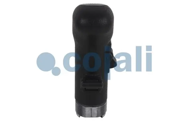 2880141 Cojali
