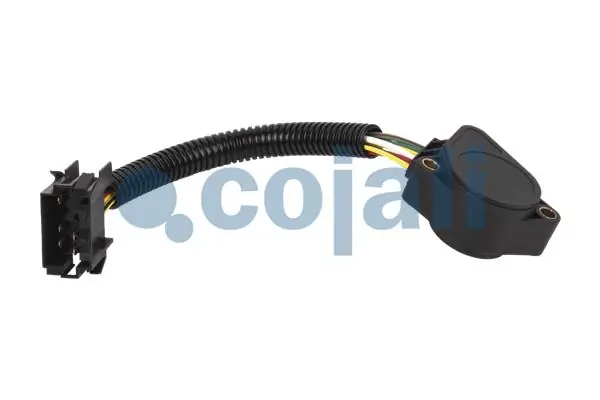 2260369 Cojali