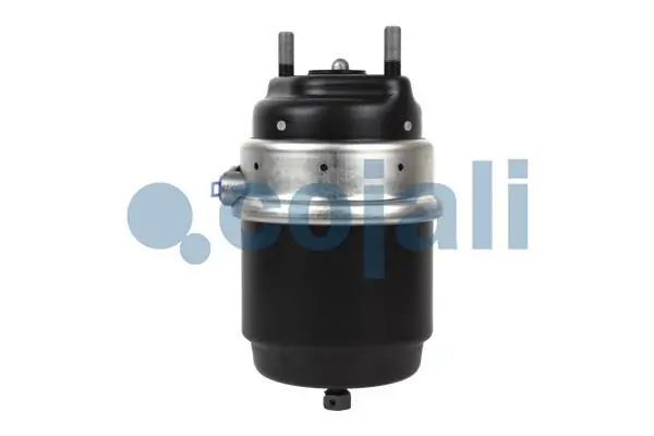 Cámara de freno con acumulador de energía Iveco 99474409 precio, desde 278,47 EUR